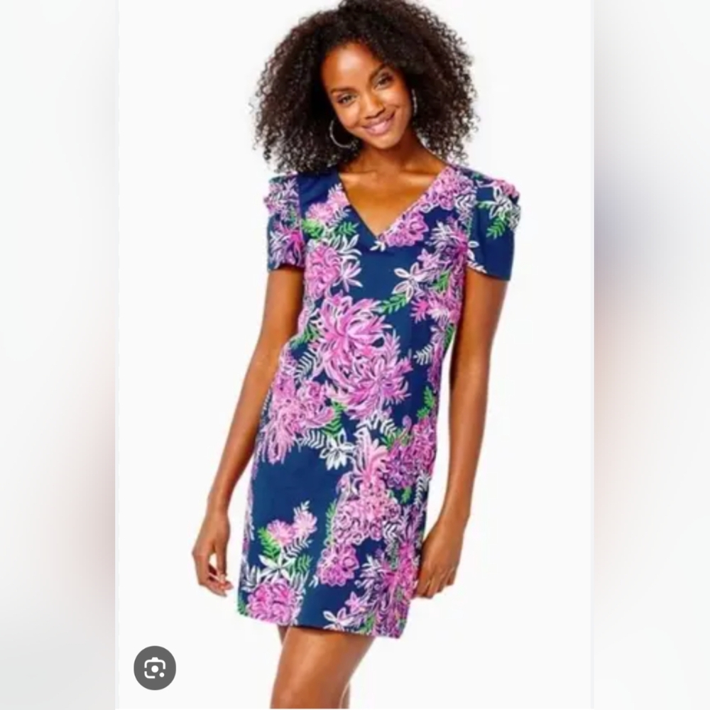 Lilly Pulitzer Aleece Dress Medium